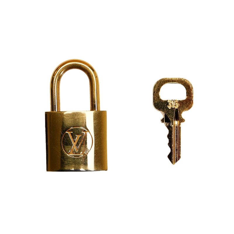 Louis Vuitton City Steamer MM (36943) - Image 10