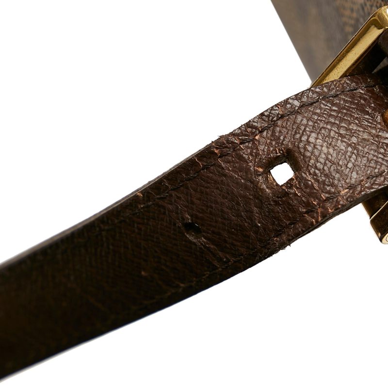 Louis Vuitton Damier Ebene Belem MM (sDvE23) - Image 10