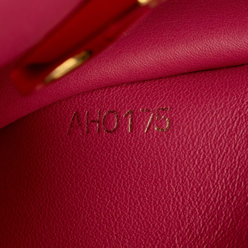 Louis Vuitton Taurillon Capucines MM Bag (N01Vii) - Image 6