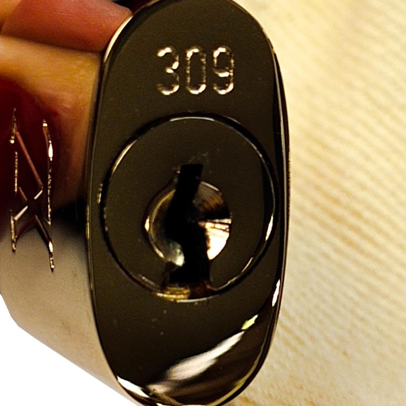 Louis Vuitton Vernis Alma BB 36461) - Image 9